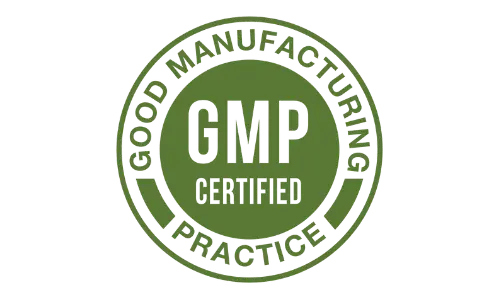 Fit Burn gmp certified